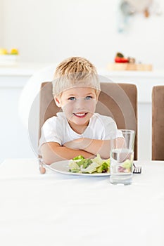 Cute little boy ready to eat his salad