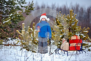 Cute little boy in Santa hat carries a wooden sled with gifts in snowy forest