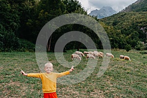 Cute little boy with a sheeps on farm, best friends, boy and lamb against the backdrop of greenery, poddy and child on