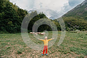 Cute little boy with a sheeps on farm, best friends, boy and lamb against the backdrop of greenery, poddy and child on