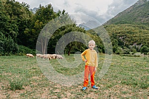 Cute little boy with a sheeps on farm, best friends, boy and lamb against the backdrop of greenery, poddy and child on