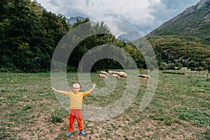 Cute little boy with a sheeps on farm, best friends, boy and lamb against the backdrop of greenery, poddy and child on