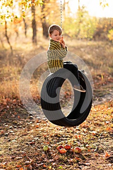 A cute little boy is sitting on a swing wheel