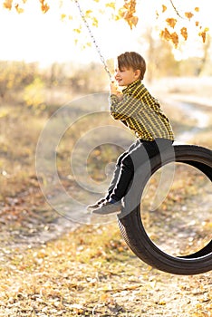 A cute little boy is sitting on a swing wheel