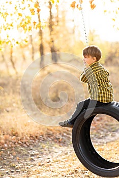 A cute little boy is sitting on a swing wheel