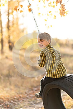 A cute little boy is sitting on a swing wheel