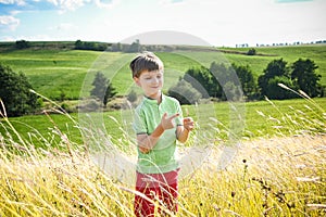 Cute little boy with spikelet in field, space for text. Child spending time in nature. Healthy lifestyle with kids on fresh air
