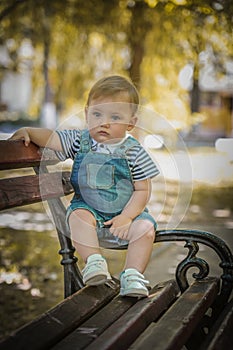 Cute little boy standing in the park on a bench standing and looking thoughtfully at the camera