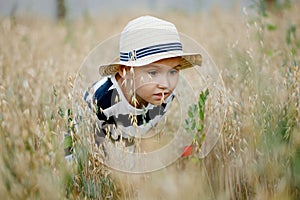 Cute little boy in a straw hat is sitting on an oat field playing hide and seek. Funny kid hiding in a field with oats.