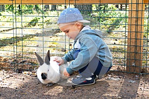 Cute little boy stroking a white rabbit outdoors.