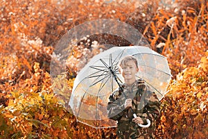 Cute little boy with umbrella in park on rainy autumn day