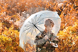 Cute little boy with umbrella in park on rainy autumn day