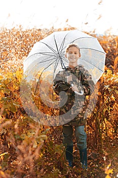 Cute little boy with umbrella in park on rainy autumn day