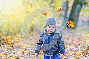 Cute little boy is walking under falling autumn leaves outdoors