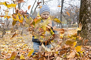 Cute little boy watches the fall of colorful, dry autumn leaves after being thrown up in city Park. Games with child in nature, in