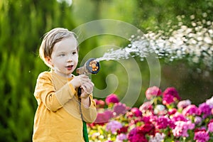 Cute little boy watering flower beds in the garden at summer day. Child using garden hose to water vegetables. Kid helping with
