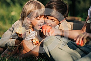 Cute little boys eating, enjoying tasty apples in garden. Organic fruits, home