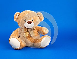 Cute little brown teddy bear, copy space photo