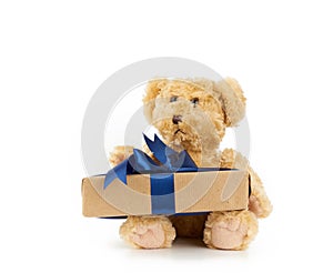 Cute little brown teddy bear holds a brown box with a blue ribbon