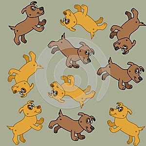 A cute little brown and yellow dog walking for wrapping paper