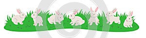 Cute little bunnies playing in green meadow horizontal header banner