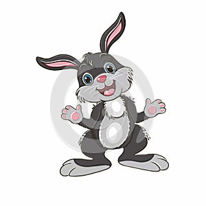 Cute little bunny rabbit isolated on white background