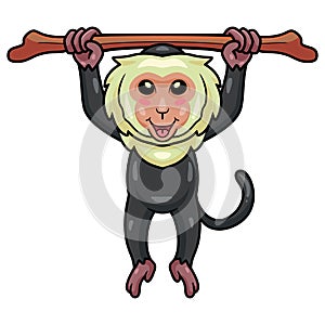 Cute little capuchin monkey cartoon hanging tree