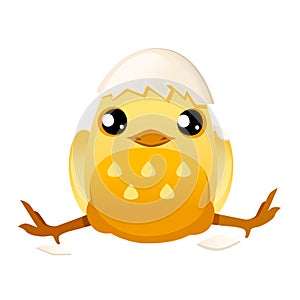 Cute little cartoon chick with hat from egg shell cartoon character design flat vector illustration