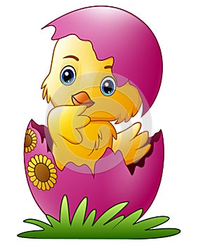 Cute little cartoon chick hatched from an egg isolated on a white background
