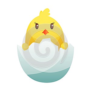 Cute little cartoon chick hatched from an egg isolated on a white background. Funny yellow chicken. Vector illustration