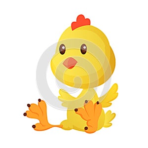 Cute little cartoon chick seating isolated on a white background. Funny yellow chicken. Vector illustration of little