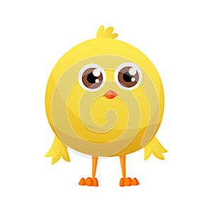Cute little cartoon chick standing isolated on a white background. Funny yellow chicken. Vector illustration of little