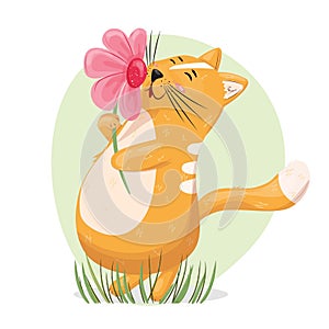Cute little cat enjoying the big flower in the spring