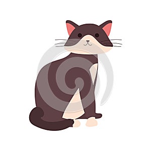 cute little cat feline seated character