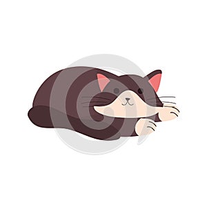 cute little cat feline sleeping character