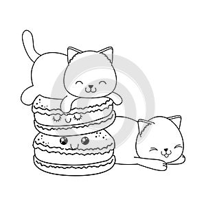 Cute little cats with cookies kawaii characters
