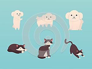 cute little cats felines and dogs characters