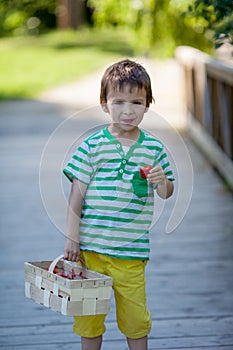 Cute little caucasian boy, eating strawberries in the park