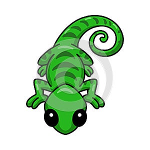 Cute little chameleon cartoon character