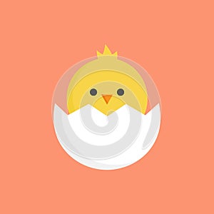 Cute little chick in cracked egg vector