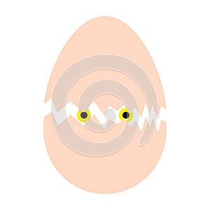 Cute little chick in cracked egg. Vector illustration. EPS 10.