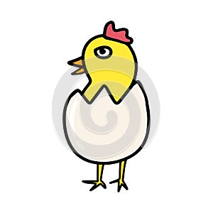 Cute little chick hatched from an egg in cartoon style isolated on white background.Single bird