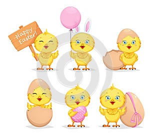 Cute little chick, set of six poses