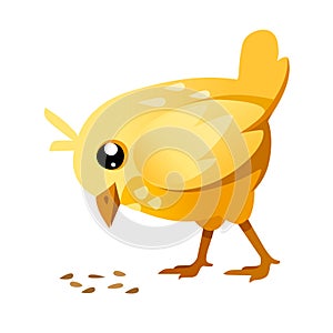 Cute little chick standing and eating crumbs on the floor side view cartoon character design flat vector illustration