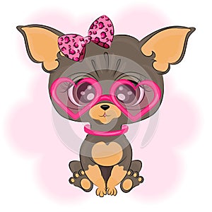 Cute little chihuahua dog, with a bow and heart-shaped glasses, cute illustration