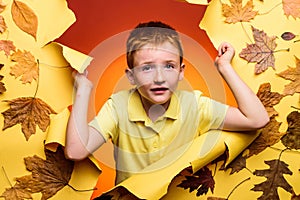 Cute little child boy holding gold leaf on pinc background. Little child enjoy childhood. Redhead little boy are getting photo