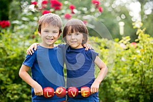 Cute little children, boy brothers, holding a love sign, made fr