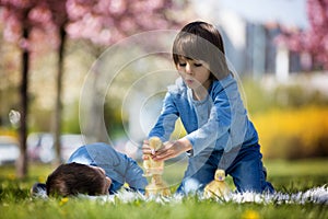 Cute little children, boy brothers, playing with ducklings springtime