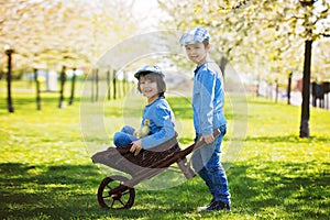 Cute little children, boy brothers, playing with ducklings springtime