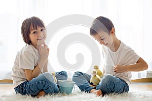 Cute little children, boy brothers, playing with ducklings springtime